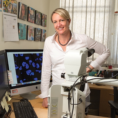 As Dr. Kimberly Allison puts the new HER2 guideline into practice at Stanford, she’s revising reporting templates and meeting with colleagues in the cytogenetics lab. “In our reporting,” she says, “we want to reflect the additional workup and that some of these result categories are unusual.” [Photo: Cindy Charles]